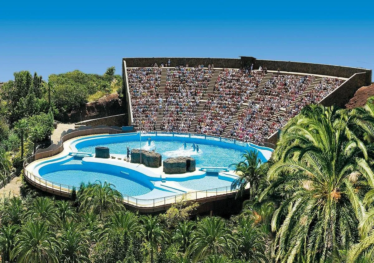 Descubre las actividades alrededor de Artika Natura